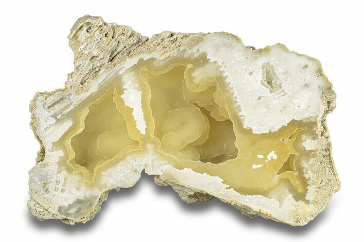 Agatized Fossil Coral Geode - Florida #271634